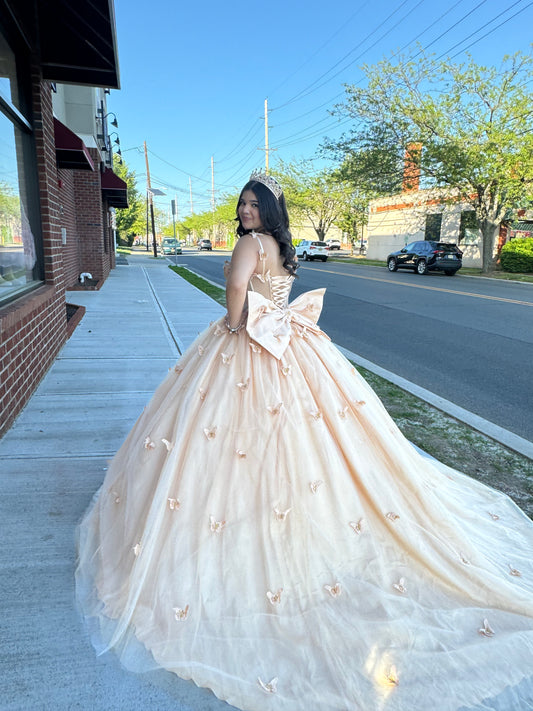 Quince Dress