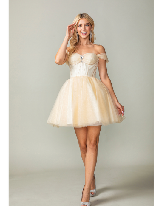 Short Dress sz S