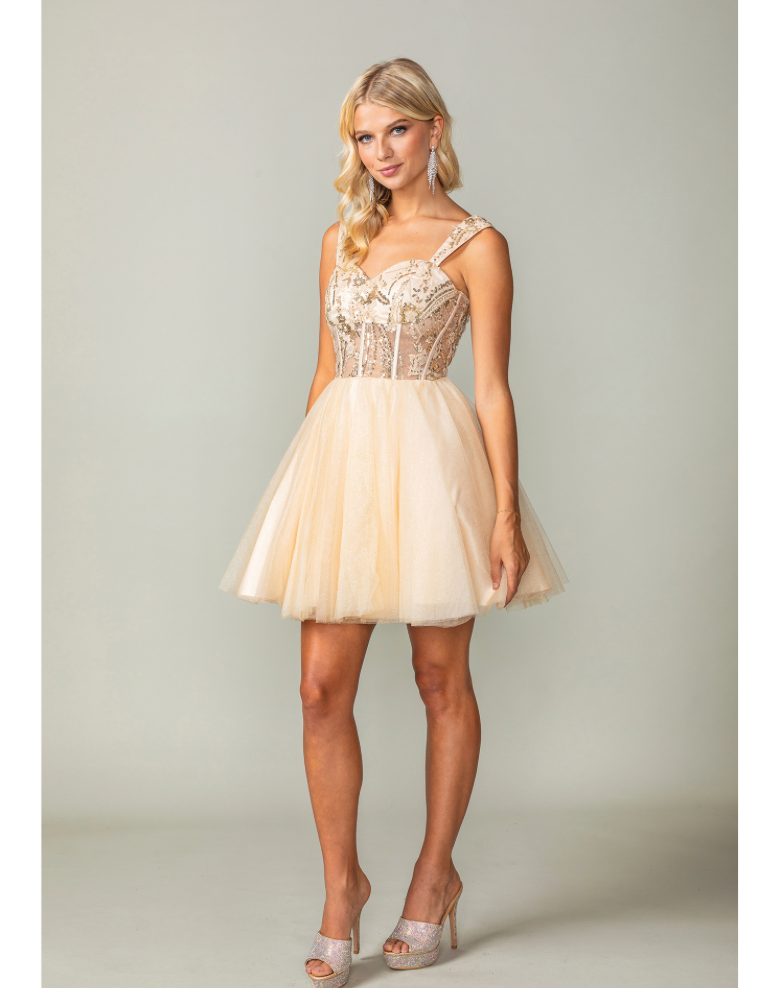 Short Dress sz XL