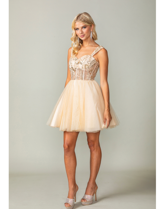 Short Dress sz XL