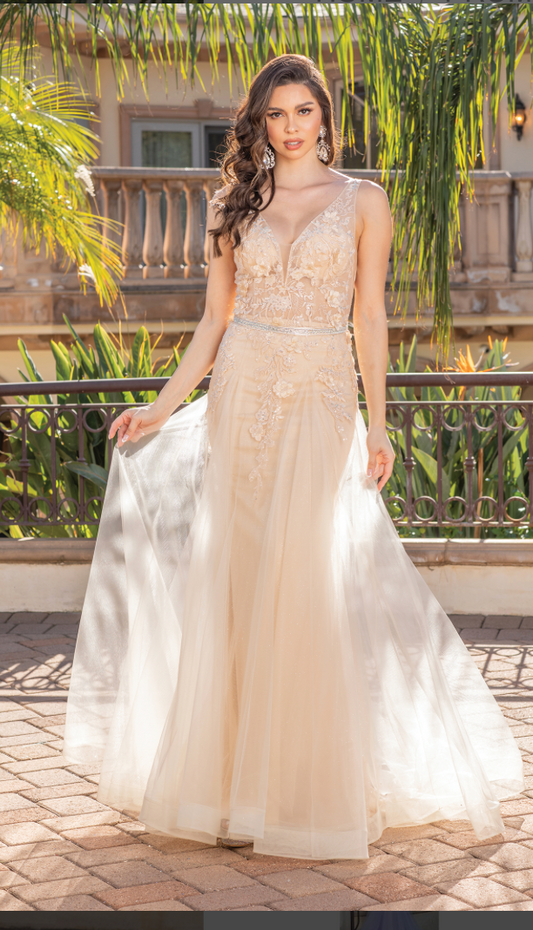 Long Dress sz M